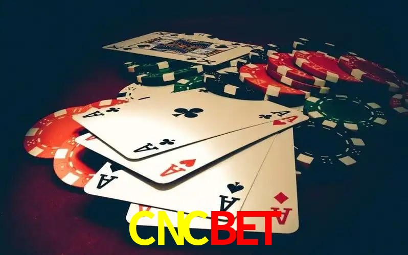 6 vantagens exclusivas do programa VIP da CNCBET
