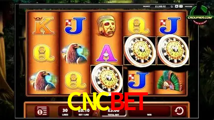 Descubra o Mundo do Cassino Online com CNCBET
