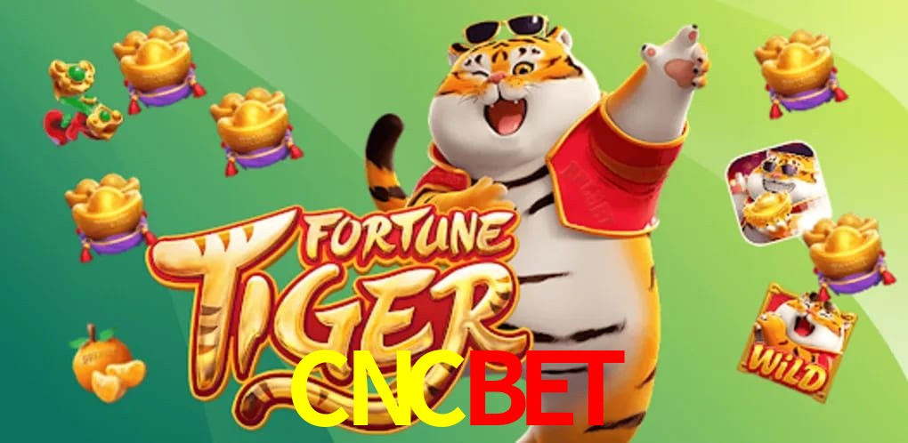 Experiência VIP CNCBET